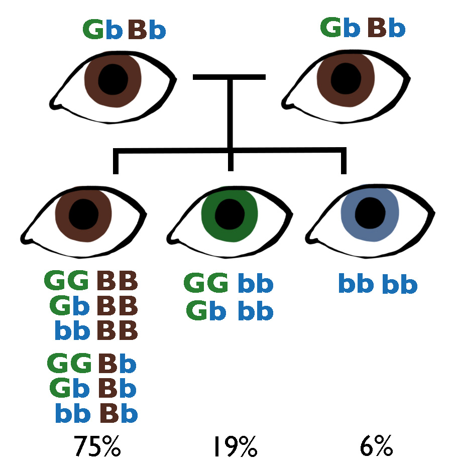 Eye gene deals