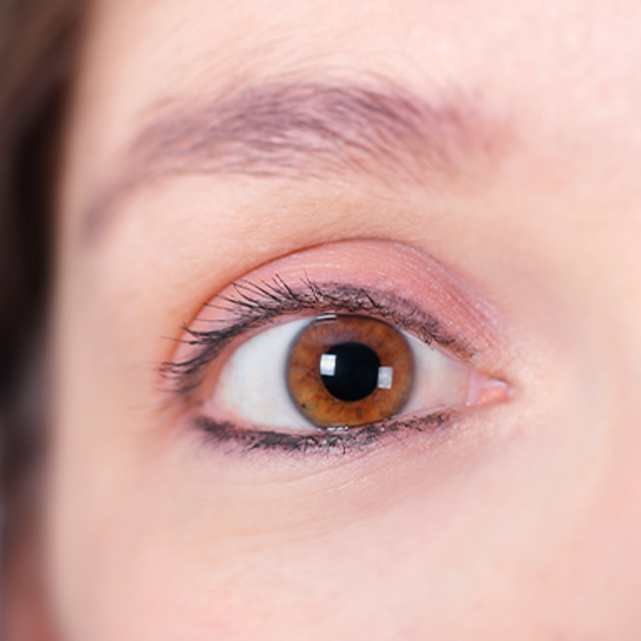 Eye Colors: Hazel, Green, Amber, Blue, Grey & Brown
