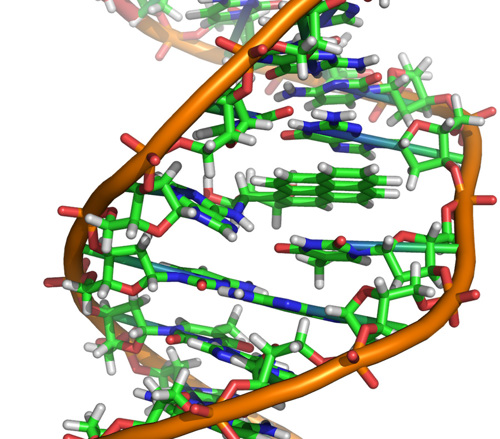 DNA helix.