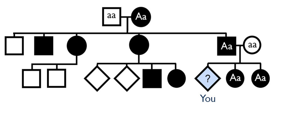 AI pedigree.