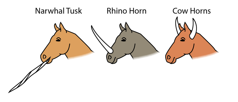 Cartoon horses with a narwhal tusk, rhinoceros horn, or cow horns.