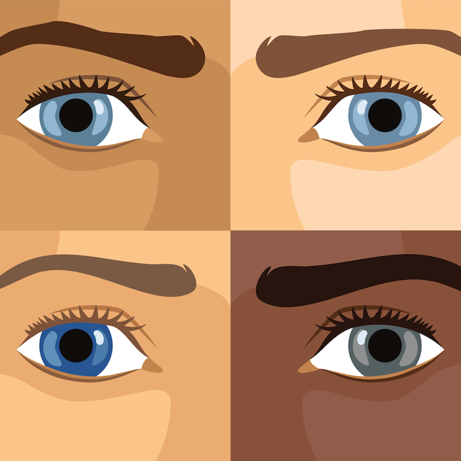 All blue eyes descend from a single common ancestor who lived