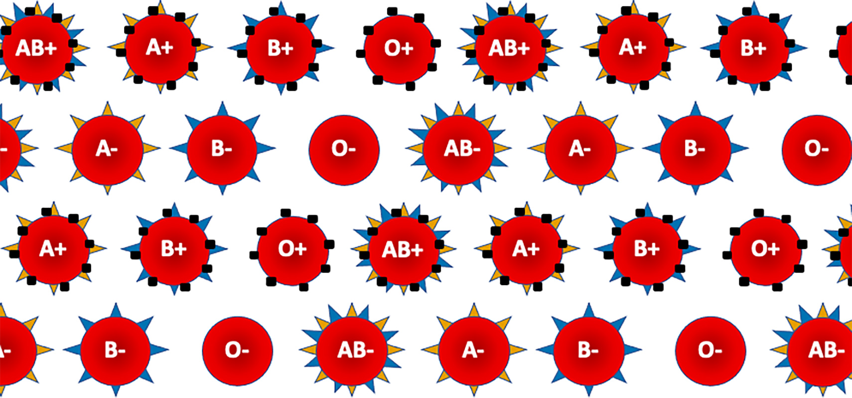 How many blood types are there? - The Tech Interactive