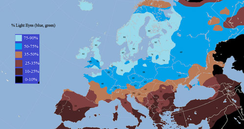 All blue eyes descend from a single common ancestor who lived