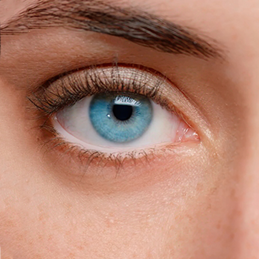 Can two blue-eyed parents have a green or brown-eyed child? - The Tech  Interactive